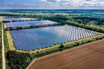 Zonneveld bij de Flevokust-haven in Lelystad