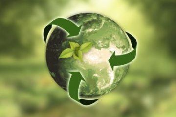 groene wereldbol met pijlen.