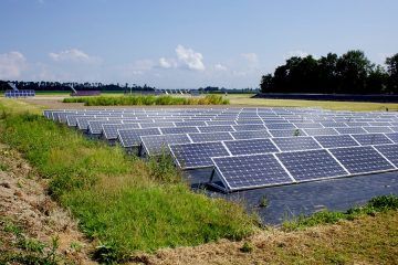 zonnepanelen op een veld.