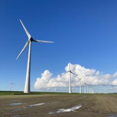 Windmolens in het Flevolandse landschap