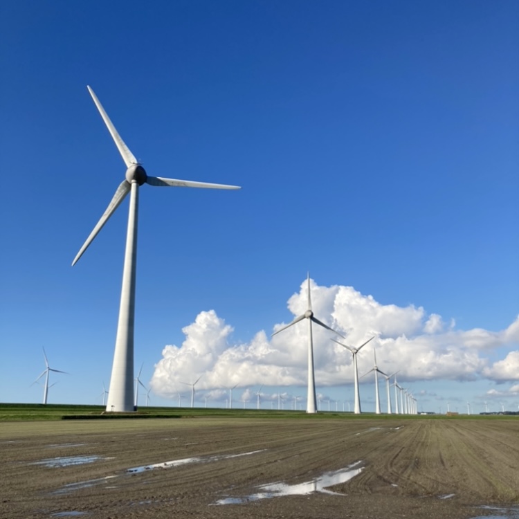 Windmolens in het Flevolandse landschap