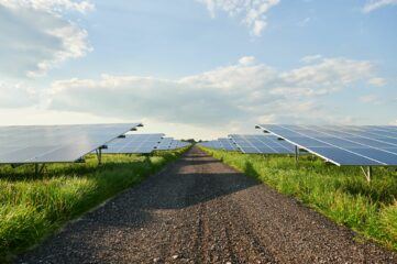 Een landschap vol zonnepanelen met een weg er tussen door.
